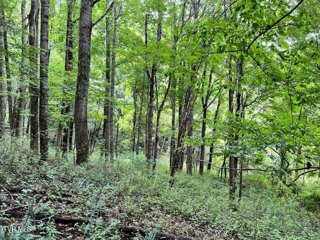 337 Heaton Creek Rd, Roan Mountain, TN 37687