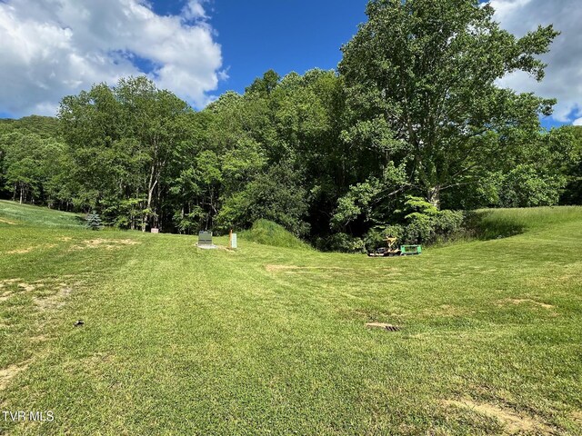 337 Heaton Creek Rd, Roan Mountain, TN 37687