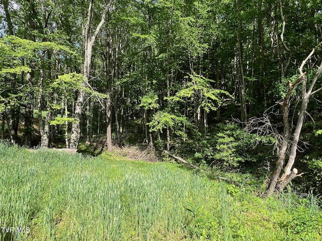 337 Heaton Creek Rd, Roan Mountain, TN 37687