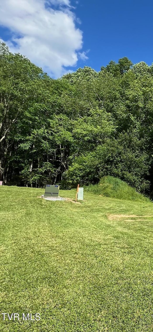 337 Heaton Creek Rd, Roan Mountain, TN 37687