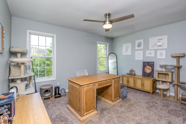 595 Suncrest Dr, Bristol, VA 24201 - office area with a ceiling fan, plenty of natural light, carpet flooring, and baseboards