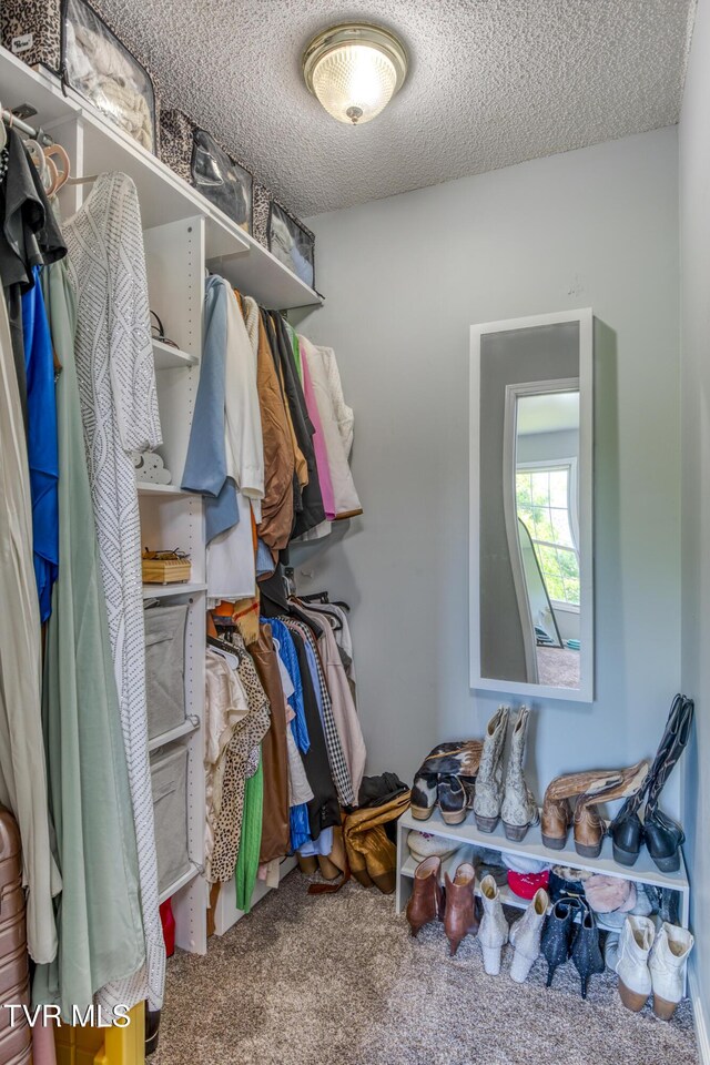 595 Suncrest Dr, Bristol, VA 24201 - walk in closet with carpet