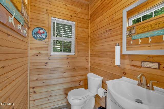 5 Carriage Ct, Johnson City, TN 37604 - half bathroom with toilet, vanity, and wooden walls