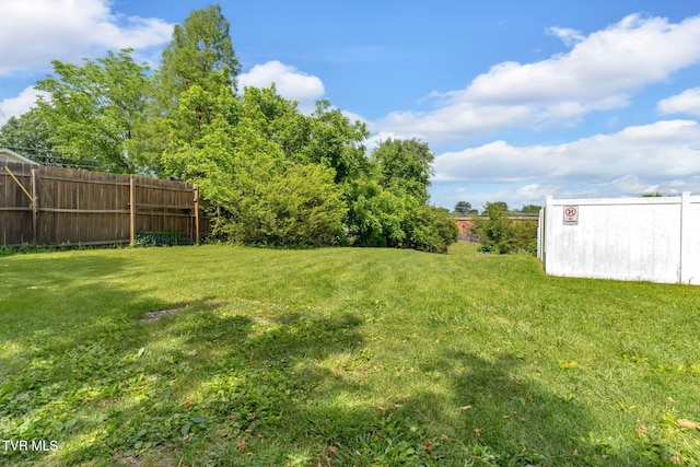 1217 Kentucky Ave, Bristol, TN 37620 - view of yard