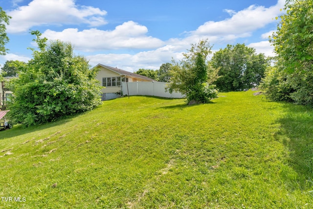 1217 Kentucky Ave, Bristol, TN 37620 - view of yard