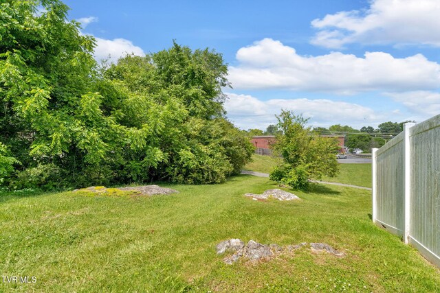 1217 Kentucky Ave, Bristol, TN 37620 - view of yard