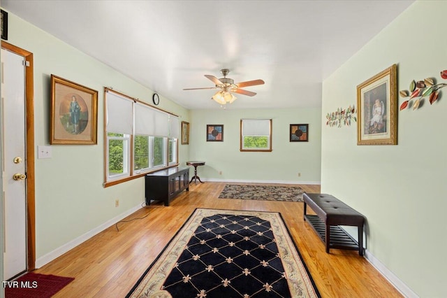 105 Meredith Dr, Elizabethton, TN 37643 - foyer featuring ceiling fan, light wood-type flooring, and baseboards