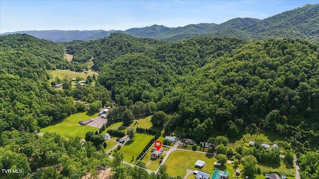 105 Meredith Dr, Elizabethton, TN 37643 - drone / aerial view of a heavily wooded area and a mountain backdrop