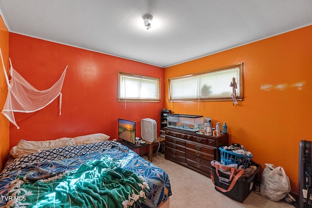 110 Johnson St, Greeneville, TN 37745 - photo 14