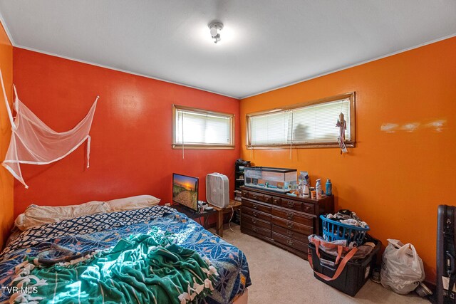 110 Johnson St, Greeneville, TN 37745 - photo 18