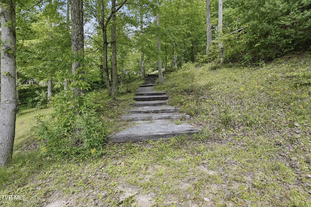 8466 Courtland Rd, Wise, VA 24293 - view of yard