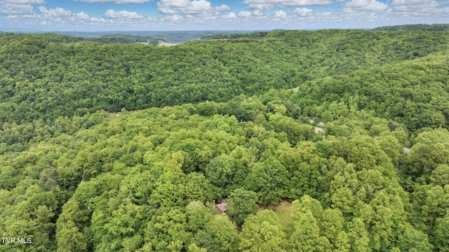 8466 Courtland Rd, Wise, VA 24293 - bird's eye view of a heavily wooded area