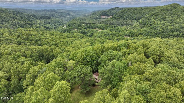 8466 Courtland Rd, Wise, VA 24293 - aerial view of a forest and a mountain backdrop