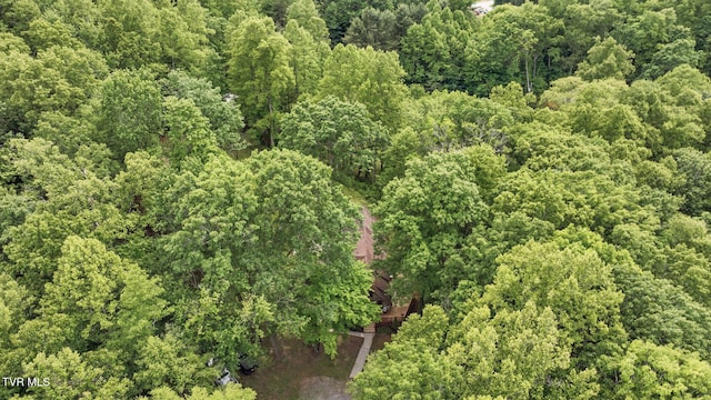 8466 Courtland Rd, Wise, VA 24293 - view of property location featuring a heavily wooded area