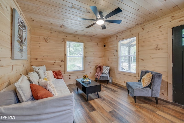455 Okey Mowell Rd, Kingsport, TN 37660 - living area featuring wooden ceiling, wooden walls, plenty of natural light, ceiling fan, and wood finished floors