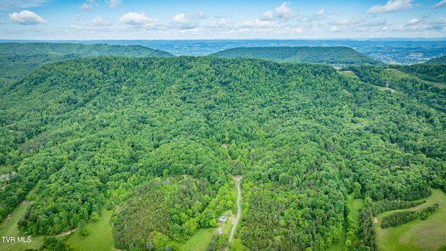 455 Okey Mowell Rd, Kingsport, TN 37660 - drone / aerial view of a forest and a mountainous background