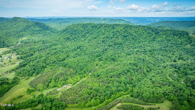 455 Okey Mowell Rd, Kingsport, TN 37660 - aerial view of a forest and mountains