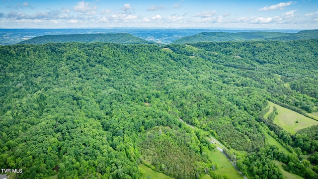 455 Okey Mowell Rd, Kingsport, TN 37660 - aerial view of a forest and mountains
