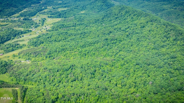 455 Okey Mowell Rd, Kingsport, TN 37660 - aerial view of property and surrounding area featuring a heavily wooded area