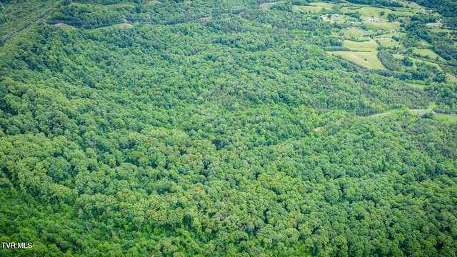 455 Okey Mowell Rd, Kingsport, TN 37660 - aerial view of a heavily wooded area
