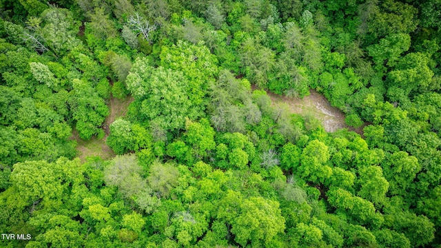 455 Okey Mowell Rd, Kingsport, TN 37660 - aerial view of property and surrounding area