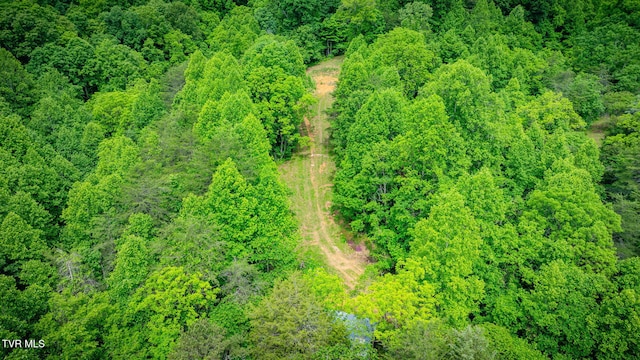 455 Okey Mowell Rd, Kingsport, TN 37660 - drone / aerial view of a heavily wooded area