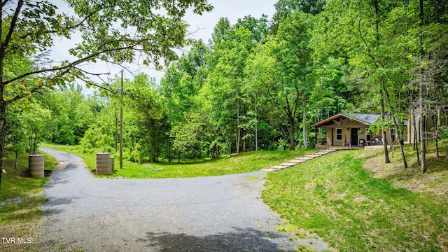 455 Okey Mowell Rd, Kingsport, TN 37660 - view of asphalt driveway featuring a wooded view
