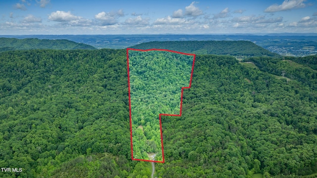 455 Okey Mowell Rd, Kingsport, TN 37660 - aerial overview of property's location featuring a forest, property parcel outlined, and a mountain backdrop
