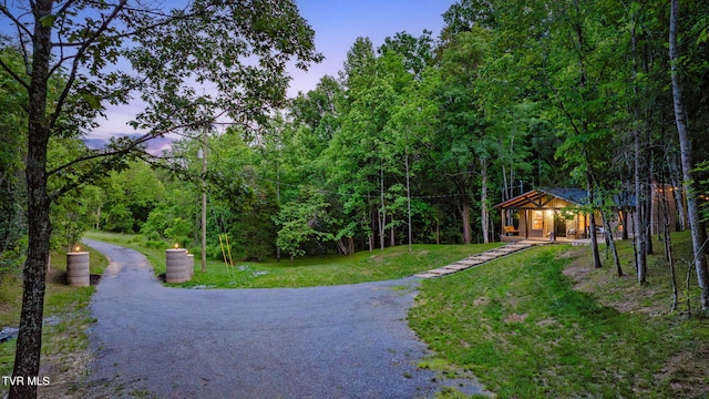455 Okey Mowell Rd, Kingsport, TN 37660 - view of property's community featuring a yard, a wooded view, and asphalt driveway