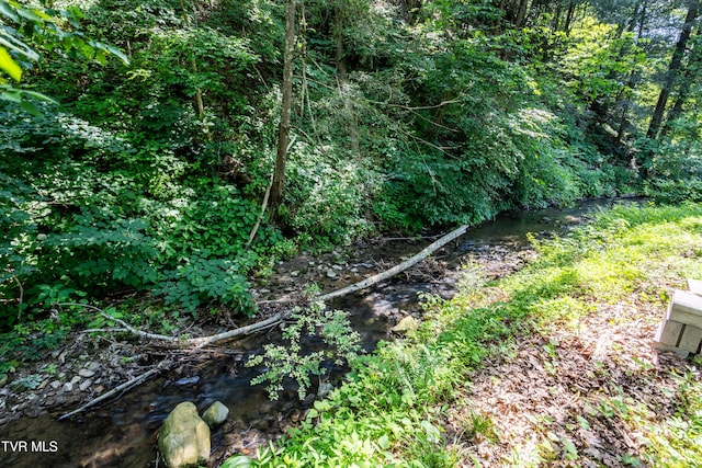 1605 Ryder Church Rd, Bluff City, TN 37618 - view of local wilderness
