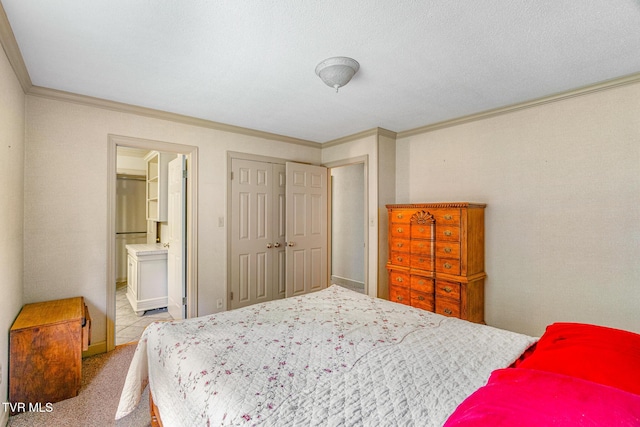 1605 Ryder Church Rd, Bluff City, TN 37618 - bedroom with ornamental molding, ensuite bathroom, a closet, and carpet floors