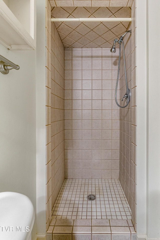 1605 Ryder Church Rd, Bluff City, TN 37618 - bathroom with a tile shower