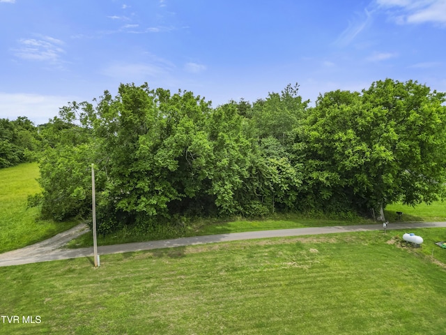 000 Keller Dr, White Pine, TN 37890