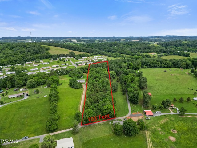 000 Keller Dr, White Pine, TN 37890