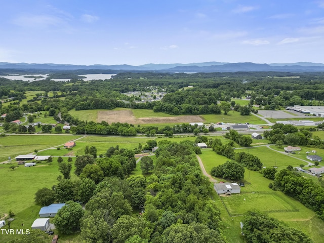 000 Keller Dr, White Pine, TN 37890