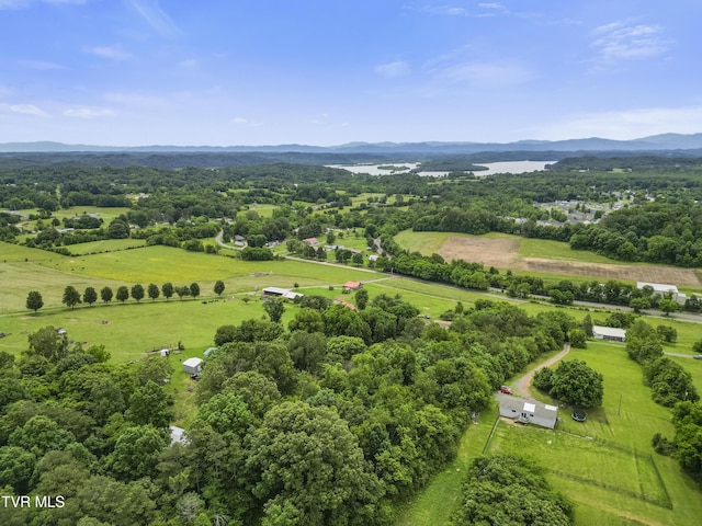 000 Keller Dr, White Pine, TN 37890