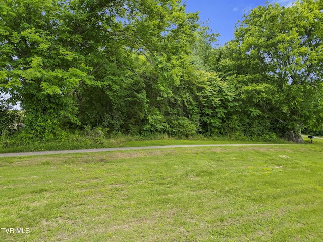 000 Keller Dr, White Pine, TN 37890