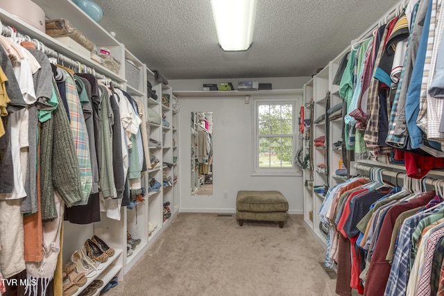 22319 Campground Rd, Bristol, VA 24202 - spacious closet with carpet floors