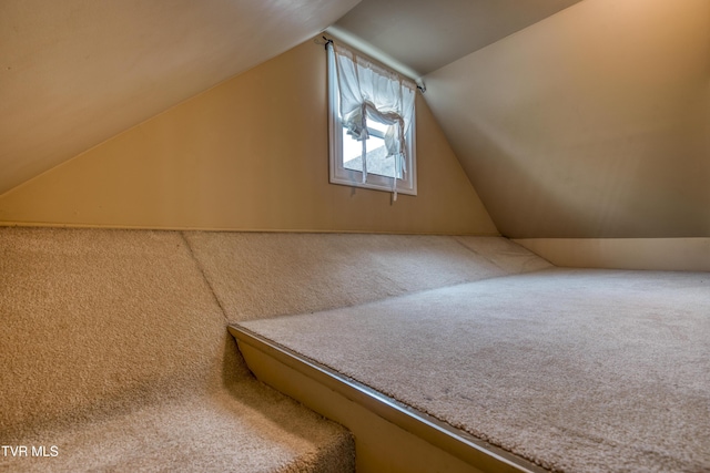 22319 Campground Rd, Bristol, VA 24202 - bonus room with carpet flooring and lofted ceiling
