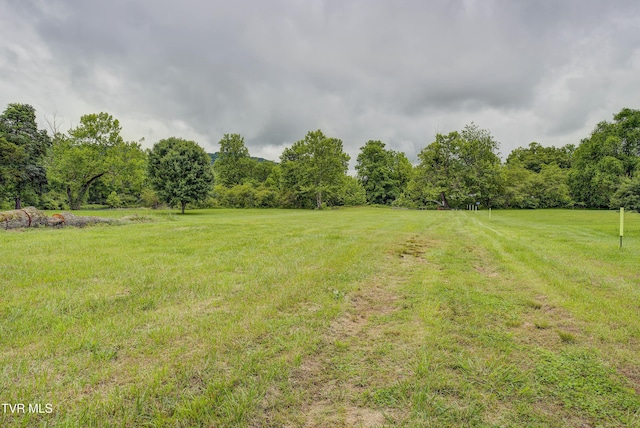 TBD River Rd, Elizabethton, TN 37643 - photo 3
