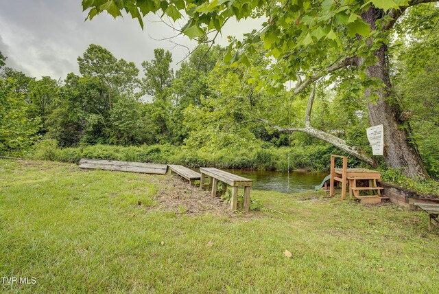 TBD River Rd, Elizabethton, TN 37643 - photo 4