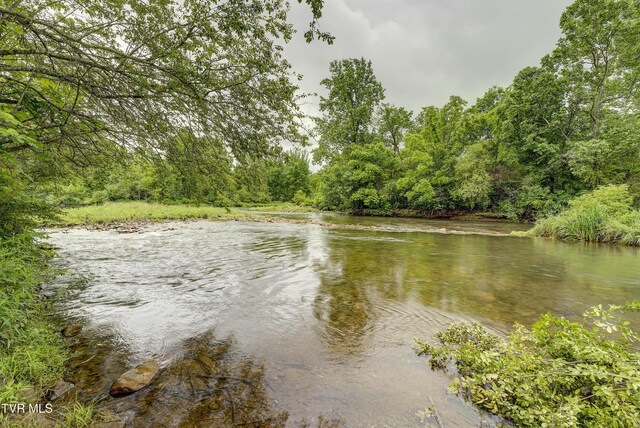 TBD River Rd, Elizabethton, TN 37643 - photo 6
