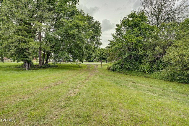 TBD River Rd, Elizabethton, TN 37643 - photo 8