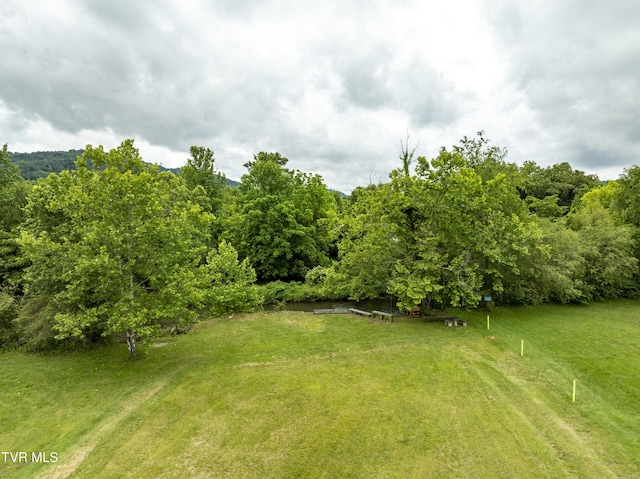 TBD River Rd, Elizabethton, TN 37643 - photo 14