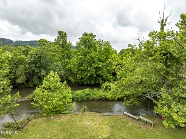 TBD River Rd, Elizabethton, TN 37643 - photo 15