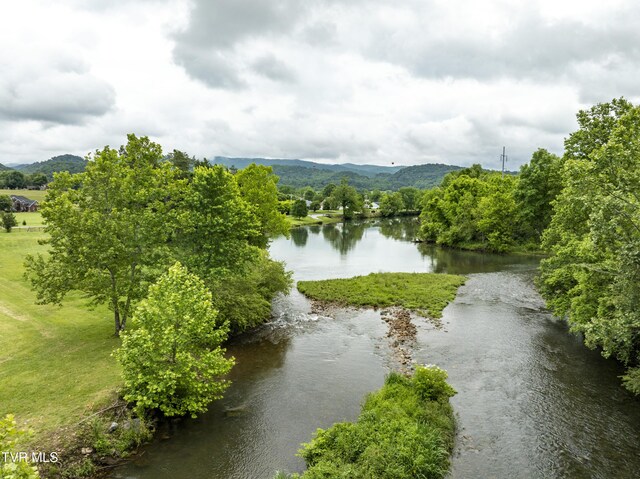 TBD River Rd, Elizabethton, TN 37643 - photo 16