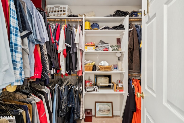 1402 Lake Ridge Sq, Johnson City, TN 37601 - view of spacious closet