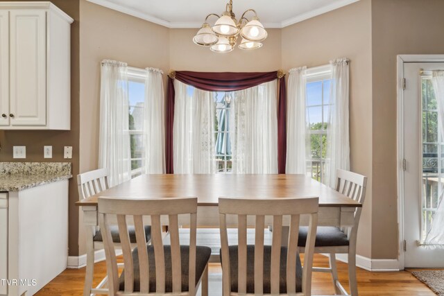 1402 Lake Ridge Sq, Johnson City, TN 37601 - dining room featuring plenty of natural light, a chandelier, light wood-style floors, baseboards, and ornamental molding