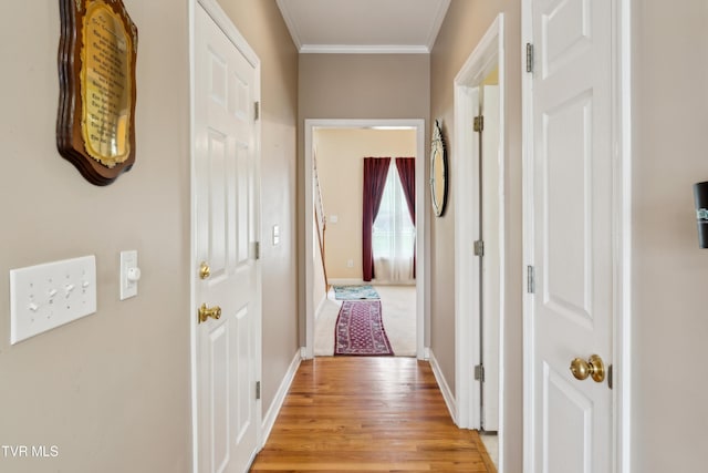 1402 Lake Ridge Sq, Johnson City, TN 37601 - corridor with ornamental molding, light wood-style flooring, and baseboards