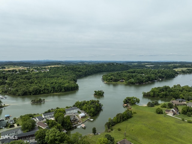 1402 Lake Ridge Sq, Johnson City, TN 37601 - bird's eye view of a nearby body of water and a heavily wooded area
